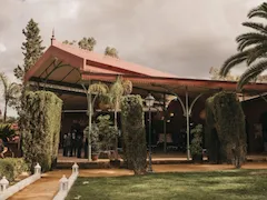 El Pino De San José